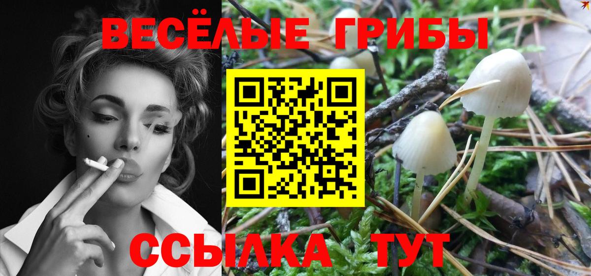 Ижевск  Галлюциногенные грибы мицелий  Вход с VPN 